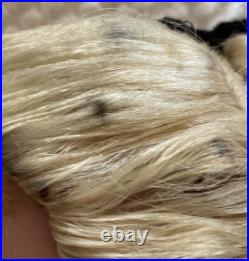 1950s MADAME ALEXANDER LITTLE WOMEN'AMY' 14DOLL with MOHAIR withOriginal Hairdo
