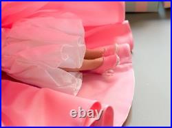 2003 Madame Alexander Sleeping Beauty 10 Doll Style 36570