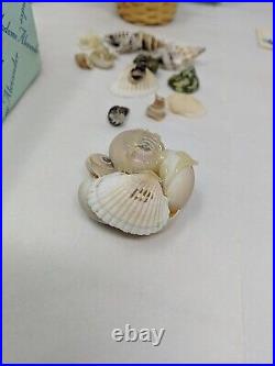 Madame Alexander She Sells Sea Shells Wendy Doll #42470